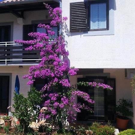 Apartments Barac Poreč Eksteriør billede