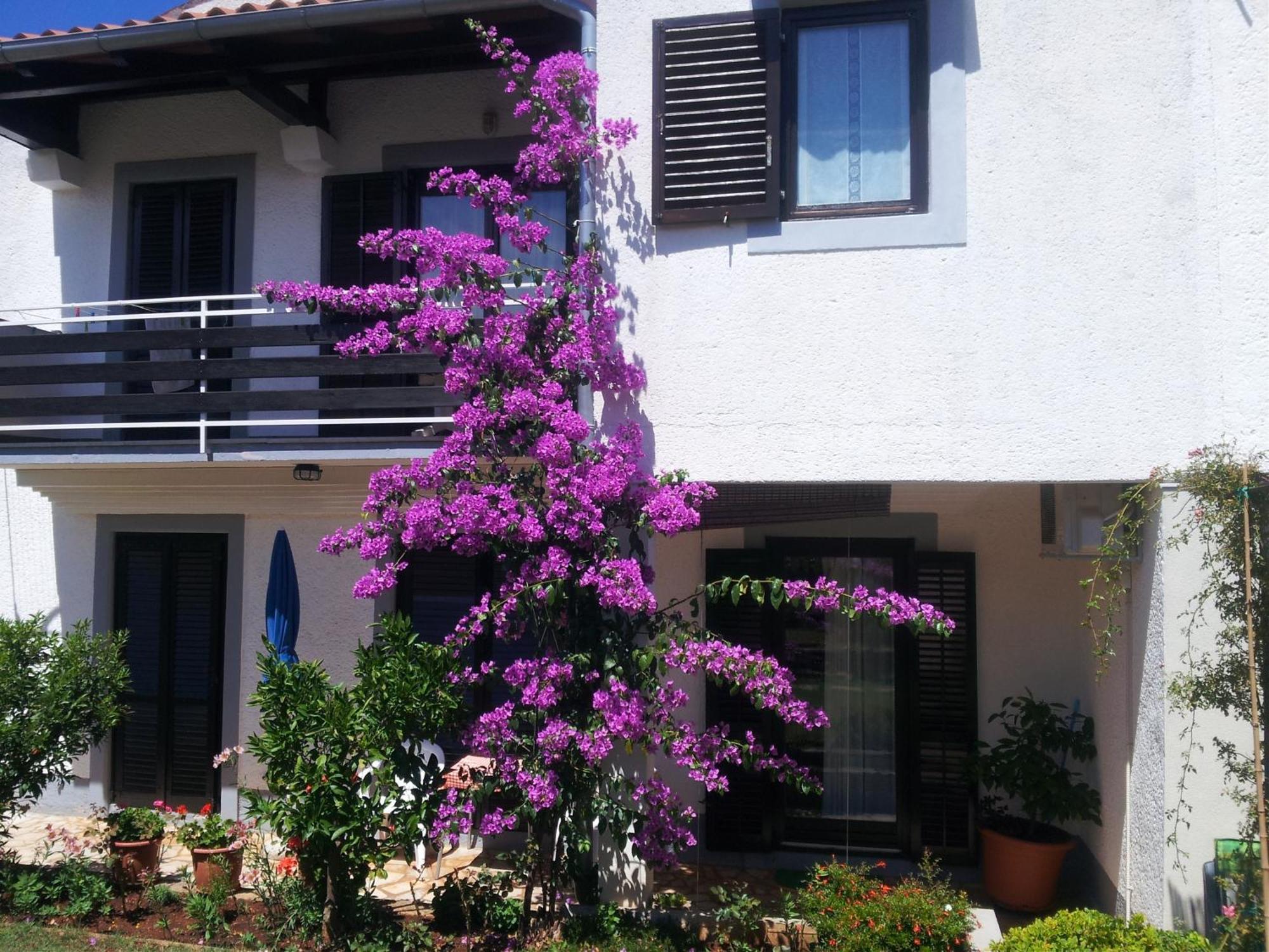 Apartments Barac Poreč Eksteriør billede